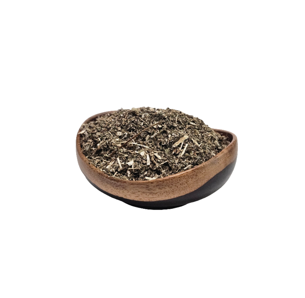 Boneset-Eupatorium perfoliatum-Organic