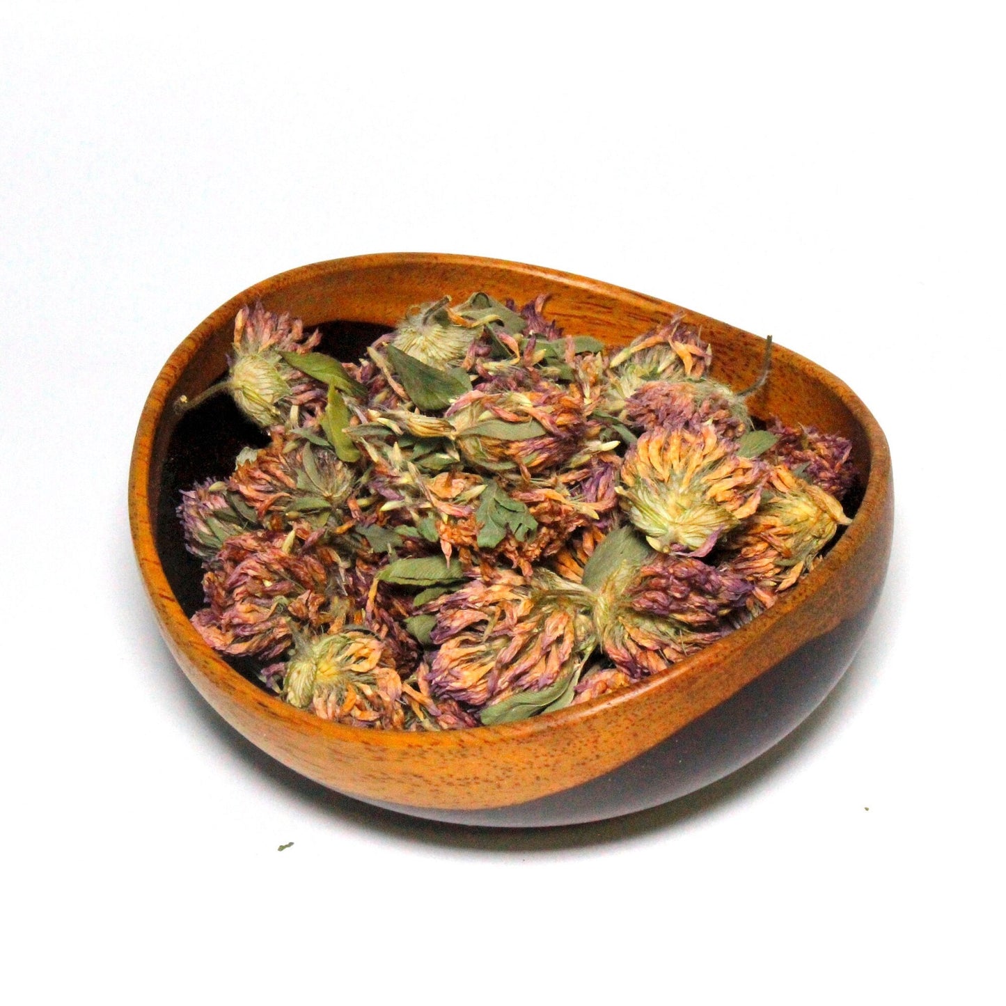 Red Clover Flowers-Trifolium Pratense-Wildcrafted