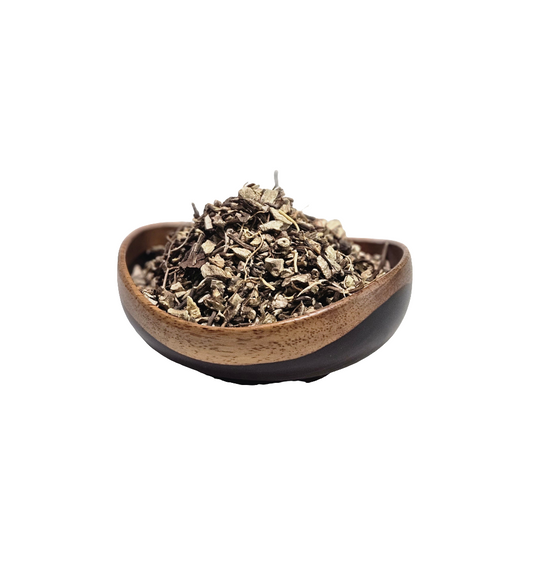 Gravel Root-Eupatorium purpureum-Wildharvested