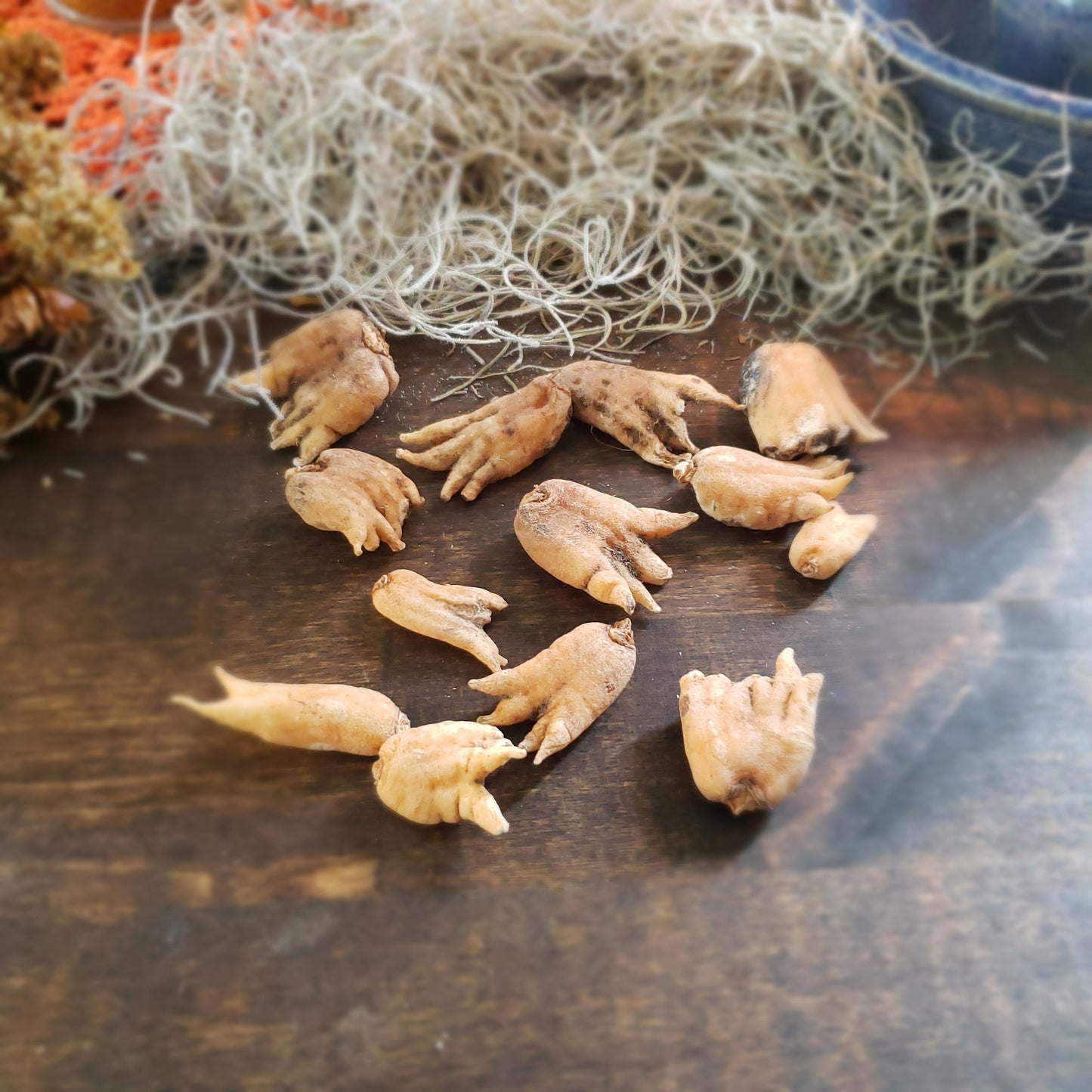 Lucky Hand Root