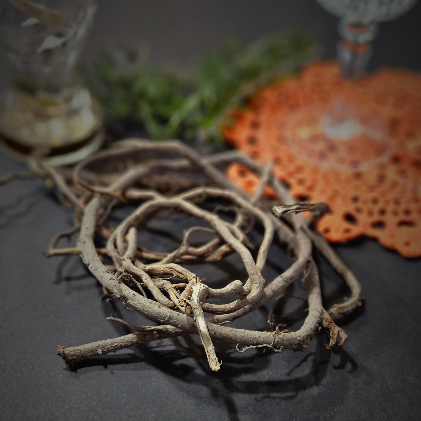 Devil's Shoestring-Viburnum